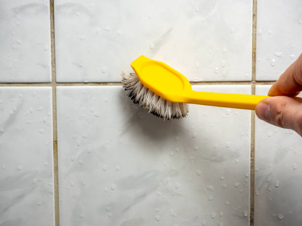 Best Kitchen Mold Remediation in Genoa City, WI