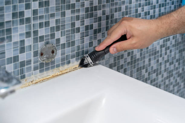 Best DIY Mold Remediation Support Services in Genoa City, WI